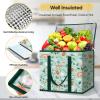 BALEINE 2Pk Insulated Reusable Grocery Bags, Collapsible Cooler Bag for Groceries, Heavy Duty Large Insulated Bag (16”x9”x13”, Spring Stroll)(Spring Stroll)