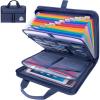 BALEINE Fireproof Document Organizer with Handle, 12 Pockets PVC Accordion File Organizer with Labels, Waterproof Fireproof Document Bag for A4/Letter Files in Travel, Office, Home (Pink)(Blue)