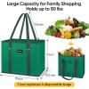BALEINE 3Pk Reusable Grocery Bags, Foldable Shopping Bags for Groceries with Reinforced Bottom & Handles (Green)(Green)