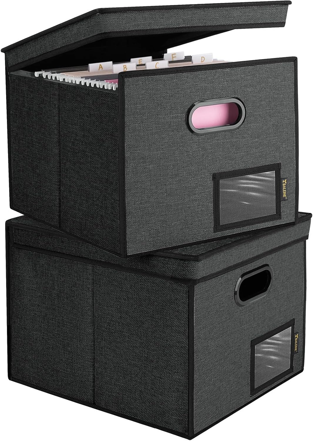 image:imageBALEINE File Organizer Box with Lid Collapsible File Folder Organizer with Plastic Slide Hanging File Folder Box for Office Document Storage Tab Friendly 2 Pack BlackBlack