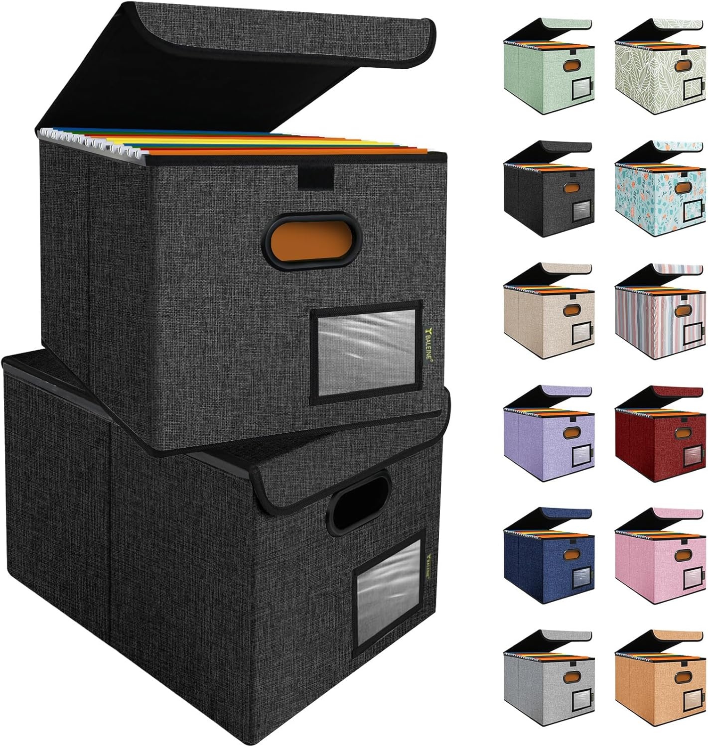 image:imageBALEINE File Organizer Box with Lid Collapsible File Folder Organizer with Plastic Slide Hanging File Folder Box for Office Document Storage Tab Friendly 2 Pack BlackBlack
