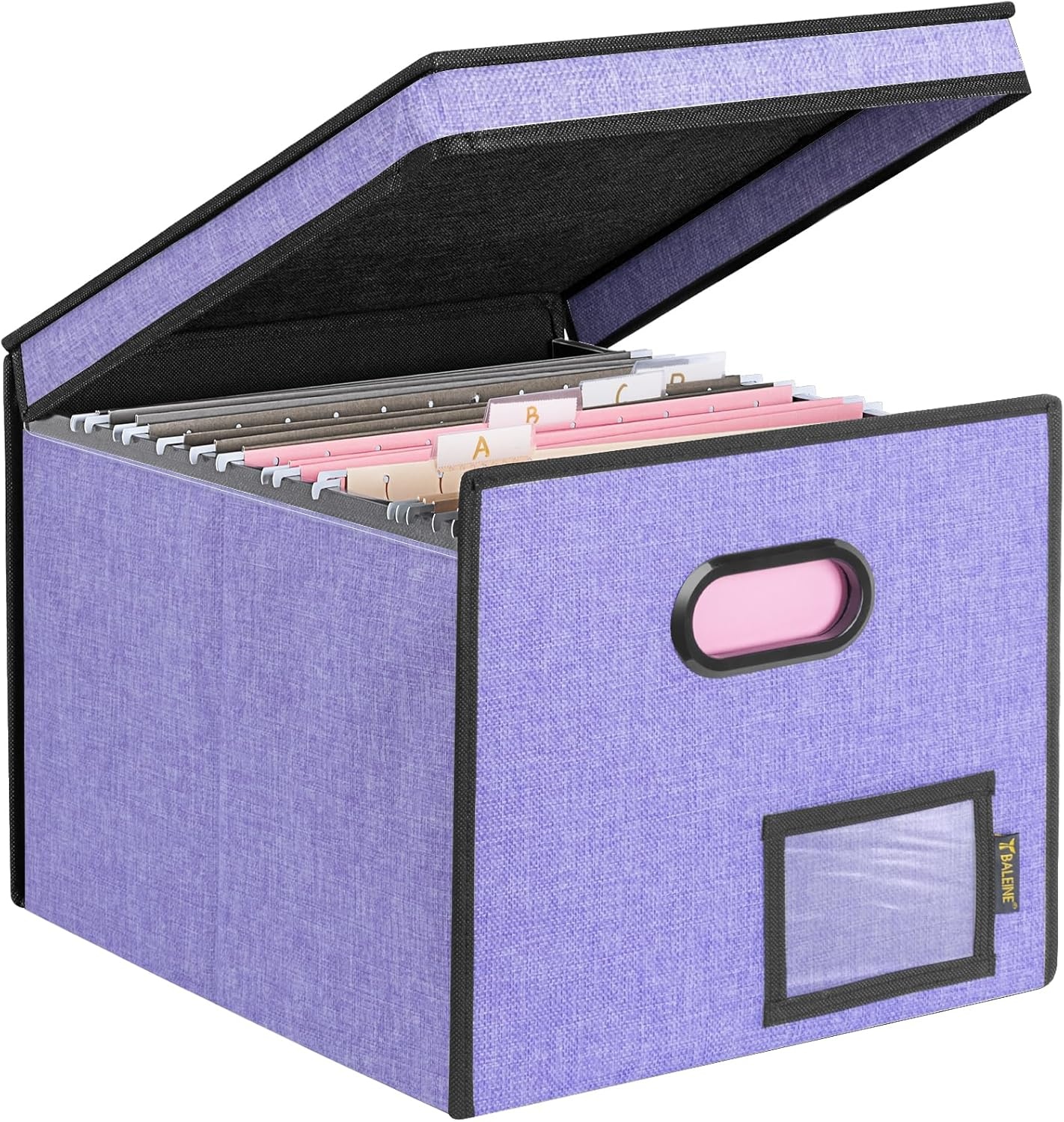 image:imageBALEINE File Organizer Box with Lid Collapsible File Folder Organizer with Plastic Slide Hanging File Folder Box for Office Document Storage Tab Friendly 2 Pack BlackPurple