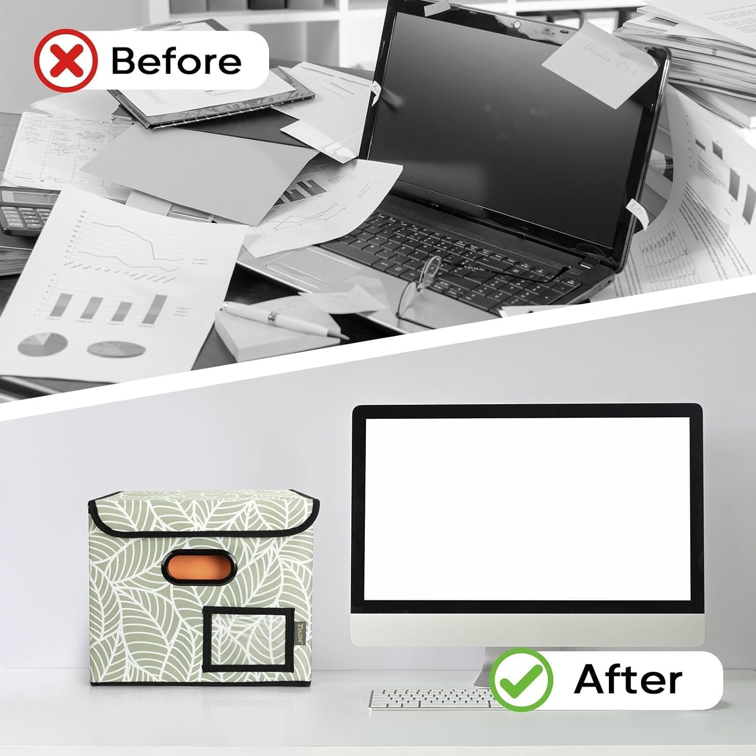 image:imageBALEINE File Organizer Box with Lid Collapsible File Folder Organizer with Plastic Slide Hanging File Folder Box for Office Document Storage Tab Friendly 2 Pack BlackAntique Foliage