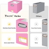 BALEINE File Organizer Box, Cardboard File Folder Organizer with Handle for Letter Size, Portable Collapsible Hanging Filing Box for Home Office Document Storage (2 Pack, Large Black)(Pink)
