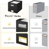 BALEINE File Organizer Box, Cardboard File Folder Organizer with Handle for Letter Size, Portable Collapsible Hanging Filing Box for Home Office Document Storage (2 Pack, Large Black)(Black)