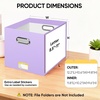 BALEINE File Organizer Box, Cardboard File Folder Organizer with Handle for Letter Size, Portable Collapsible Hanging Filing Box for Home Office Document Storage (2 Pack, Large Black)(Lavender)