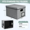 BALEINE File Organizer Box with Lid, Collapsible File Folder Organizer with Plastic Slide, Filing Box for Office Home Document Organizer Storage (Black, 2PK)(Gray)