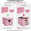 BALEINE File Organizer Box with Lid, Collapsible File Folder Organizer with Plastic Slide, Hanging File Folder Box for Office Document Storage (Tab Friendly, 2 Pack, Black)(Pink)