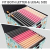 BALEINE File Organizer Box with Lid, Collapsible File Folder Organizer with Plastic Slide, Hanging File Folder Box for Office Document Storage (Tab Friendly, 2 Pack, Black)(Spring Stroll)