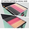 BALEINE File Organizer Box with Lid, Collapsible File Folder Organizer with Plastic Slide, Hanging File Folder Box for Office Document Storage (Tab Friendly, 2 Pack, Black)(Green)