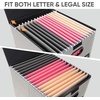 BALEINE File Organizer Box with Lid, Collapsible File Folder Organizer with Plastic Slide, Hanging File Folder Box for Office Document Storage (Tab Friendly, 2 Pack, Black)(Beige)