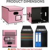 BALEINE File Organizer Box with Lid, Collapsible File Folder Organizer with Plastic Slide, Hanging File Folder Box for Office Document Storage (Tab Friendly, 2 Pack, Black)(Pink)