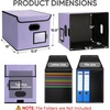 BALEINE File Organizer Box with Lid, Collapsible File Folder Organizer with Plastic Slide, Hanging File Folder Box for Office Document Storage (Tab Friendly, 2 Pack, Black)(Purple)