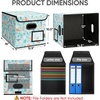 BALEINE File Organizer Box with Lid, Collapsible File Folder Organizer with Plastic Slide, Hanging File Folder Box for Office Document Storage (Tab Friendly, 2 Pack, Black)(Spring Stroll)