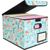 BALEINE File Organizer Box with Lid, Collapsible File Folder Organizer with Plastic Slide, Hanging File Folder Box for Office Document Storage (Tab Friendly, 2 Pack, Black)(Spring Stroll)