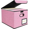 BALEINE File Organizer Box with Lid, Collapsible File Folder Organizer with Plastic Slide, Hanging File Folder Box for Office Document Storage (Tab Friendly, 2 Pack, Black)(Pink)