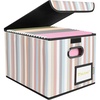 BALEINE File Organizer Box with Lid, Collapsible File Folder Organizer with Plastic Slide, Hanging File Folder Box for Office Document Storage (Tab Friendly, 2 Pack, Black)(Color Stripe)