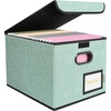 BALEINE File Organizer Box with Lid, Collapsible File Folder Organizer with Plastic Slide, Hanging File Folder Box for Office Document Storage (Tab Friendly, 2 Pack, Black)(Green)