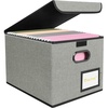 BALEINE File Organizer Box with Lid, Collapsible File Folder Organizer with Plastic Slide, Hanging File Folder Box for Office Document Storage (Tab Friendly, 2 Pack, Black)(Grey)