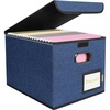 BALEINE File Organizer Box with Lid, Collapsible File Folder Organizer with Plastic Slide, Hanging File Folder Box for Office Document Storage (Tab Friendly, 2 Pack, Black)(Blue)