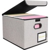 BALEINE File Organizer Box with Lid, Collapsible File Folder Organizer with Plastic Slide, Hanging File Folder Box for Office Document Storage (Tab Friendly, 2 Pack, Black)(Beige)