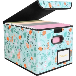 BALEINE File Organizer Box with Lid, Collapsible File Folder Organizer with Plastic Slide, Hanging File Folder Box for Office Document Storage (Tab Friendly, 2 Pack, Black)(Spring Stroll)